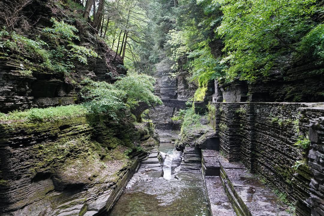 Robert Treman State Park